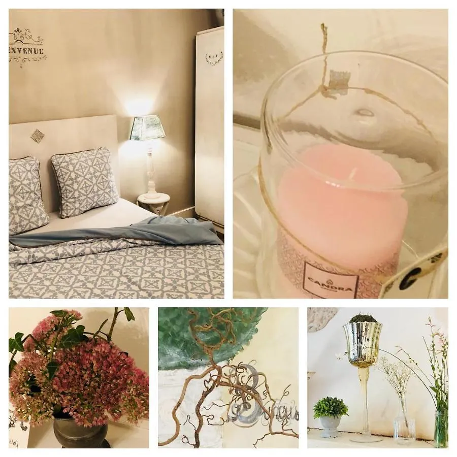 Chambre D'Hote Equestre Au Petit Bonheur Chateldon